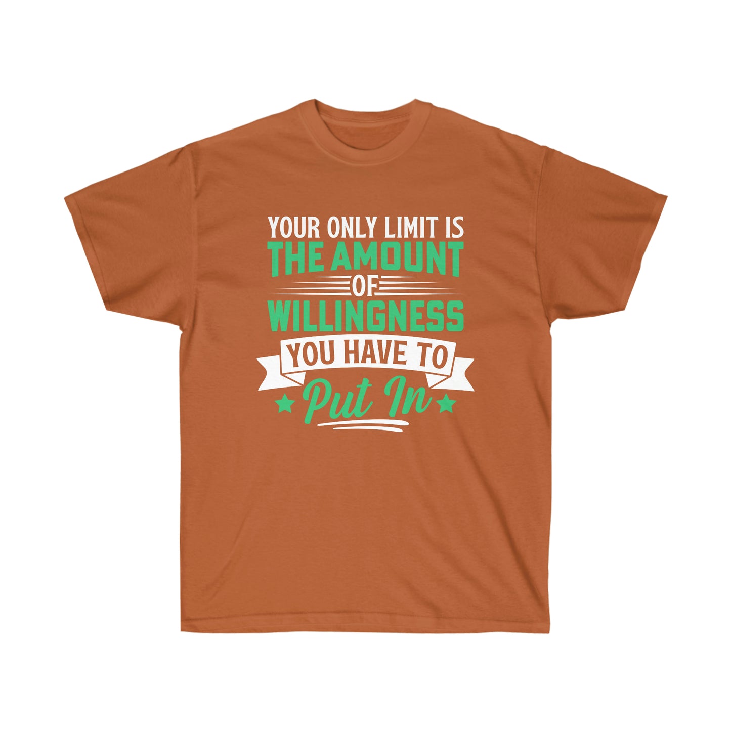 Work hard motivational shirt for men or women