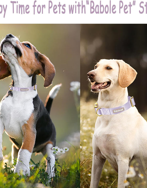 Load image into Gallery viewer, Babole Nylon Dog Collars Lavender for Small Puppy Dog,13 Colors,Adjustable Soft Comfortable Pet Collars with Safety Metal Buckle for Medium Large Boy&amp;Girl&amp;Female Dog(S)
