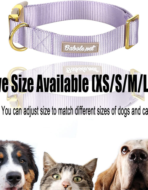 Load image into Gallery viewer, Babole Nylon Dog Collars Lavender for Small Puppy Dog,13 Colors,Adjustable Soft Comfortable Pet Collars with Safety Metal Buckle for Medium Large Boy&amp;Girl&amp;Female Dog(S)
