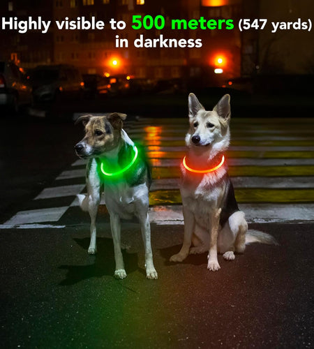 Light up Dog Collars - Rechargeable LED Dog Collar, Waterproof Glow in the Dark Puppy Collar, Lighted Dog Collar Lights for Night Walking (Green)