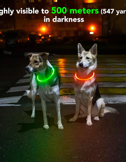 Load image into Gallery viewer, Light up Dog Collars - Rechargeable LED Dog Collar, Waterproof Glow in the Dark Puppy Collar, Lighted Dog Collar Lights for Night Walking (Green)
