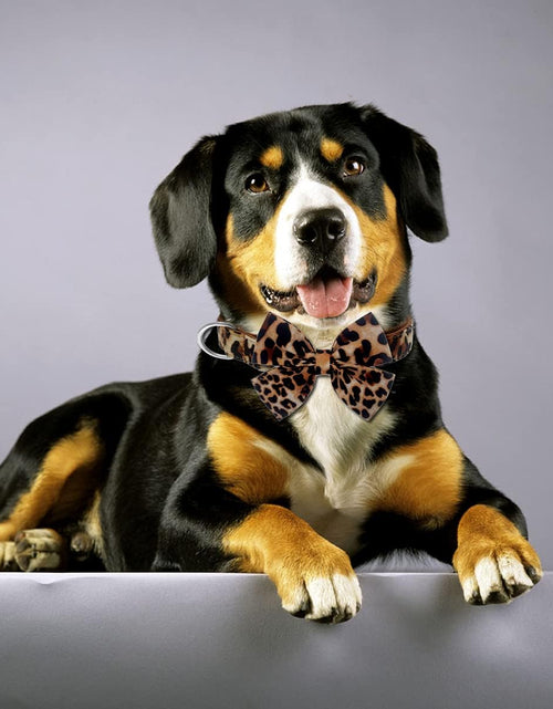 Load image into Gallery viewer, Dog Collar with Bow, Cotton &amp; Webbing, Detachable Bowtie Dog Collar, Adjustable Dog Collars and Leash for Small Medium Large Dogs (S, Leopard Print)
