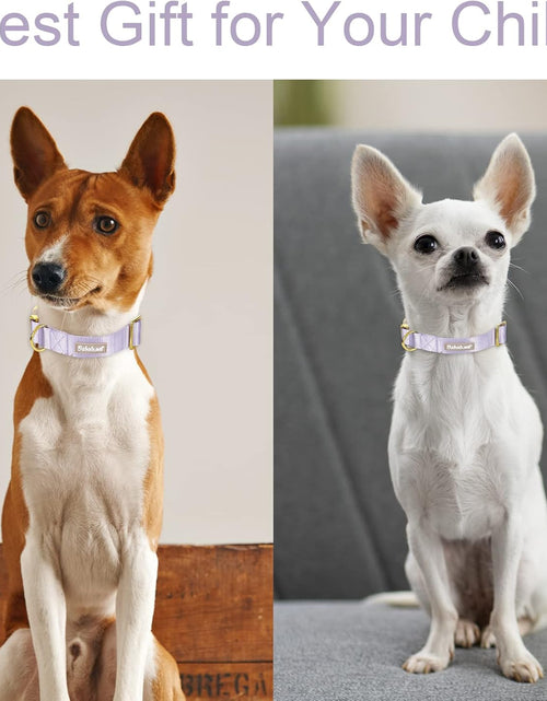 Load image into Gallery viewer, Babole Nylon Dog Collars Lavender for Small Puppy Dog,13 Colors,Adjustable Soft Comfortable Pet Collars with Safety Metal Buckle for Medium Large Boy&amp;Girl&amp;Female Dog(S)
