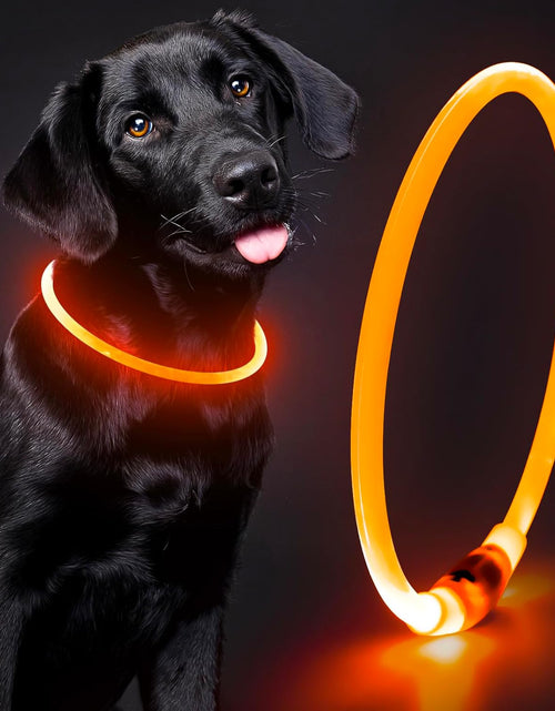 Load image into Gallery viewer, Light up Dog Collars - TPU Rechargeable LED Dog Collar, Glowing Puppy Collar, Flashing Dog Collar Lights for Night Walking (Orange)
