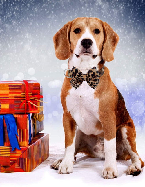 Load image into Gallery viewer, Dog Collar with Bow, Cotton &amp; Webbing, Detachable Bowtie Dog Collar, Adjustable Dog Collars and Leash for Small Medium Large Dogs (S, Leopard Print)
