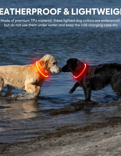 Load image into Gallery viewer, Light up Dog Collars - TPU Rechargeable LED Dog Collar, Glowing Puppy Collar, Flashing Dog Collar Lights for Night Walking (Orange)
