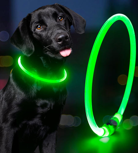 Light up Dog Collars - Rechargeable LED Dog Collar, Waterproof Glow in the Dark Puppy Collar, Lighted Dog Collar Lights for Night Walking (Green)