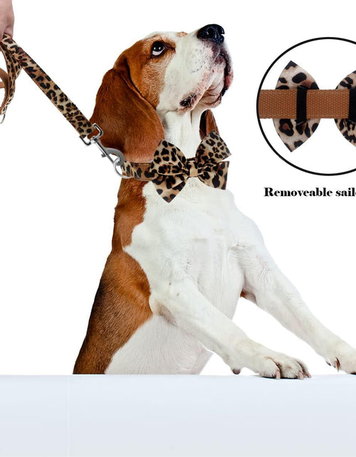 Load image into Gallery viewer, Dog Collar with Bow, Cotton &amp; Webbing, Detachable Bowtie Dog Collar, Adjustable Dog Collars and Leash for Small Medium Large Dogs (S, Leopard Print)
