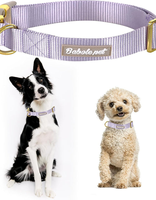 Load image into Gallery viewer, Babole Nylon Dog Collars Lavender for Small Puppy Dog,13 Colors,Adjustable Soft Comfortable Pet Collars with Safety Metal Buckle for Medium Large Boy&amp;Girl&amp;Female Dog(S)
