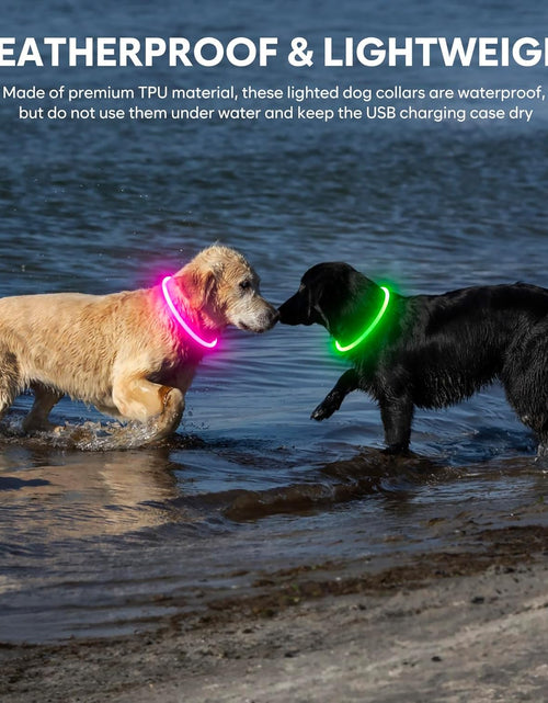 Load image into Gallery viewer, Light up Dog Collars - Rechargeable LED Dog Collar, Waterproof Glow in the Dark Puppy Collar, Lighted Dog Collar Lights for Night Walking (Green)
