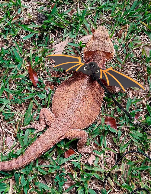 Load image into Gallery viewer, Bearded Dragon Leash Harness, 3 Size Pack Leather Wing Lizard Harness with Removable Lizard Leash for Bearded Dragon Lizard Reptiles (Black)
