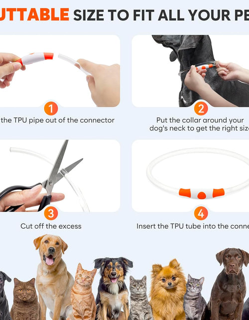 Load image into Gallery viewer, Light up Dog Collars - TPU Rechargeable LED Dog Collar, Glowing Puppy Collar, Flashing Dog Collar Lights for Night Walking (Orange)
